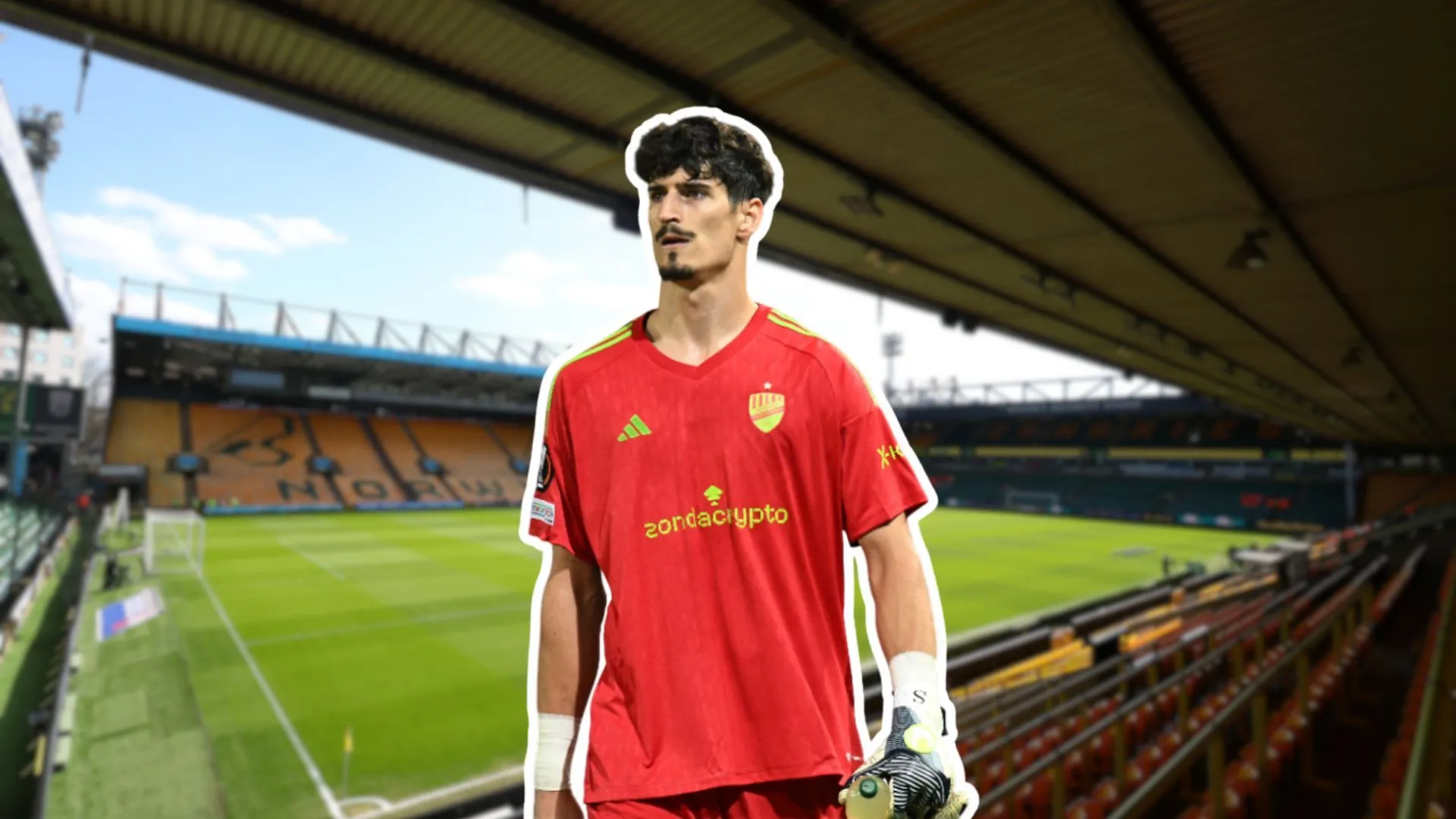 Don Goodman, bình luận viên Sky Sports, đưa ra nhận định về thương vụ Harry Darling gia nhập Norwich City