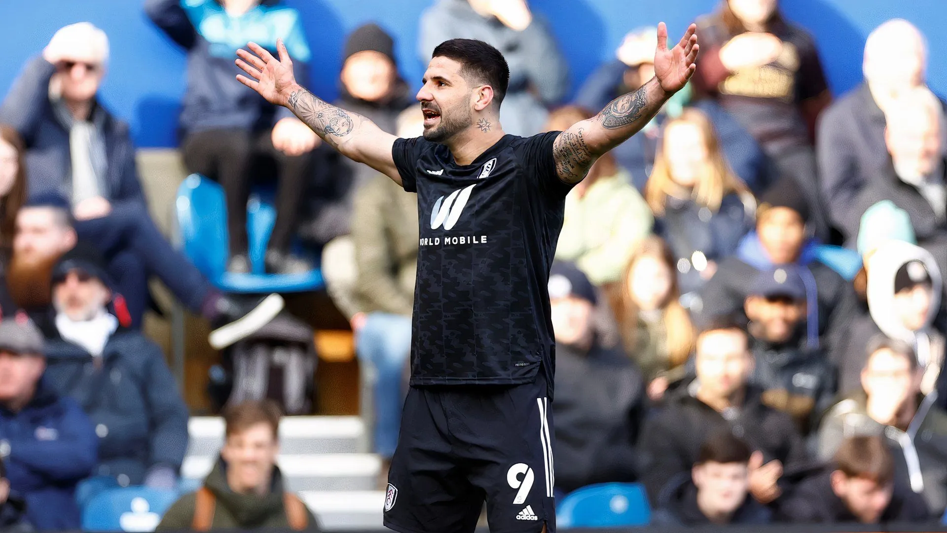 Tiền đạo Aleksandar Mitrovic khi còn thi đấu cho Fulham tại Championship